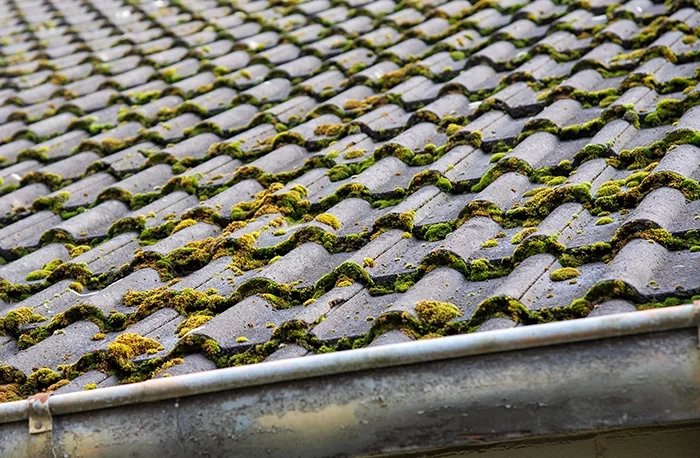 Couvreur à Choisy-le-Roi